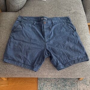 American Eagle Outfitters Navy Flat Front Shorts